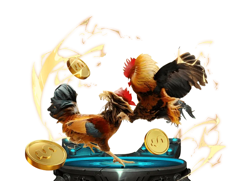 Luật Chơi Đá Gà iwin